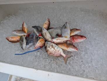 Fishing with Scott