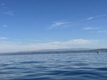 A scenic view of calm waters and distant mountains, with a boat visible in the background, capturing the tranquility of the fishing environment.