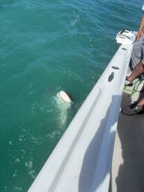 Captain Ryan delivered !!!