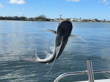 A wonderful day in several locations and fishing success at each one!