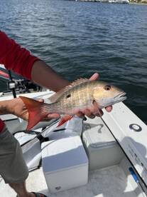 Great day, great fishing, great fun!