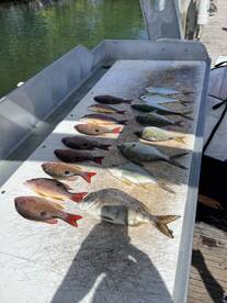 Great day, great fishing, great fun!