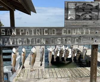 Just Like Fishin In Paradise!