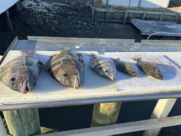 Great day of fishing!