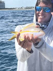 Angler proudly displaying a colorful Yellowtail Snapper while fishing off the coast.
