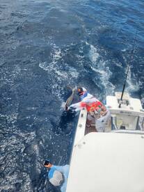 outstanding day on the water...