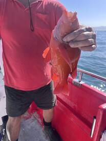 Above all expectations