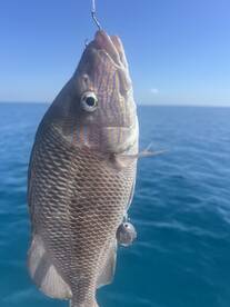 Perfect Day Fishing with my Sons