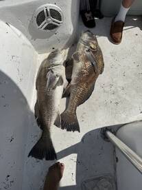 Great trip, definitely recommend!!