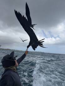 Great Capt and Crew. 