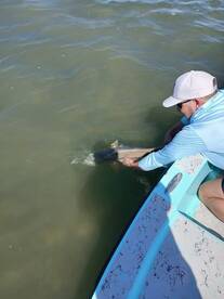 Captain Noel is Great 