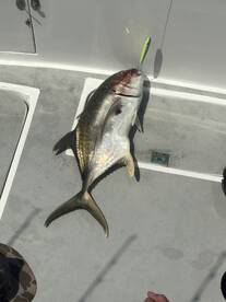 Great day on the water!