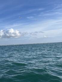 INCREDIBLE EXPERIENCE \u2b50\ufe0f\u2b50\ufe0f\u2b50\ufe0f\u2b50\ufe0f\u2b50\ufe0f