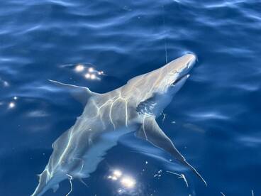 Another great day on the water!!!