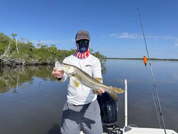 Angler proudly displaying a Snook while fishing in a serene mangrove environment.
