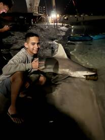 Epic Shark Fishing Trip \u2013 Two Sharks in the First Hour!