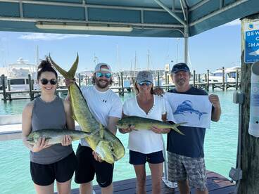 A group of anglers proudly displaying their catch of Mahi Mahi at the marina, showcasing a vibrant fishing environment.