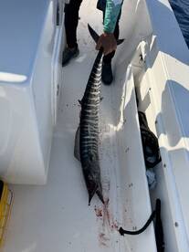 An angler proudly displaying a large Mako Shark on the deck of a fishing boat, showcasing the thrill of deep-sea fishing.