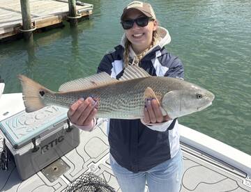 A young angler proudly displaying a large Redfish while on a fishing trip, showcasing the vibrant colors and details of the catch.