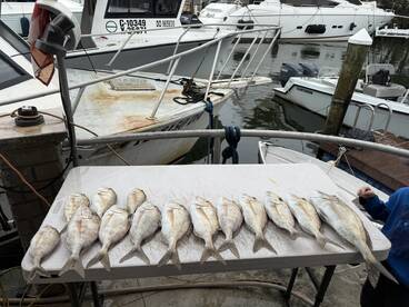 A variety of fish neatly arranged on a table at the dock, showcasing a successful fishing trip.