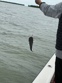 Great Fishing Adventure!