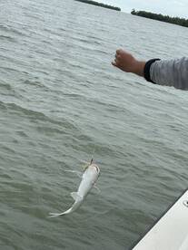 Great Fishing Adventure!