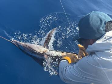 FANTASTIC EXPERIENCE\u203c\ufe0f