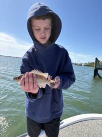 A young angler proudly displaying a freshly caught fish while fishing on a sunny day.