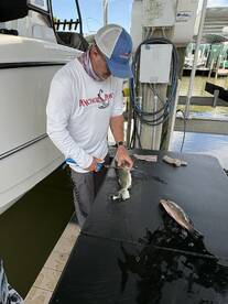 A fisherman filleting a large fish at a cleaning station by the dock, showcasing a fresh catch of the day.