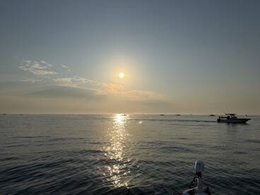 We did it all in less than a day!  