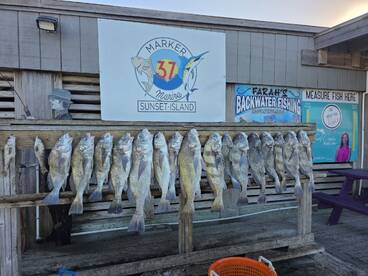 Great trip out for a evening trip 