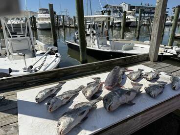 Hardest workin captain 