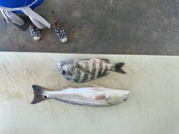 Home runs early and late!