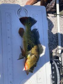 Fishing trip of a lifetime 