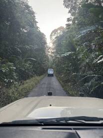 A scenic view of a narrow road through dense foliage, leading to a fishing destination.
