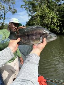 Angler proudly displaying a large Tilapia while fishing in a lush river environment.