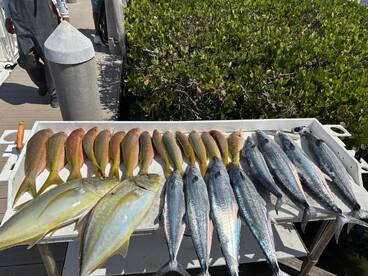 We caught 26 keepers. 