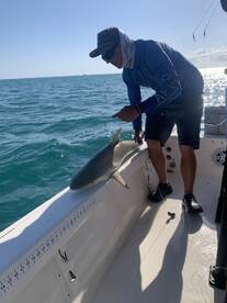 Angler reeling in a shark while fishing on a boat in clear blue waters.