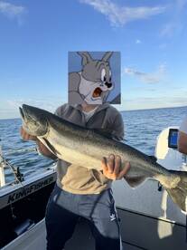 Angler proudly displaying a large salmon while fishing on a boat, enjoying a beautiful day on the water.