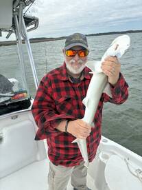 An angler proudly displaying a caught shark while on a fishing trip in a coastal waterway.
