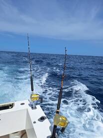 View of fishing rods mounted on the boat's deck, showcasing the open ocean and clear blue skies, ideal for a day of deep-sea fishing.