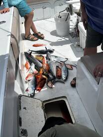 A young angler stands beside a pile of freshly caught fish on a boat, showcasing a variety of species after a successful fishing trip.