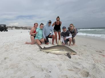 A group of anglers proudly posing with a large shark on the beach, showcasing their successful catch during a coastal fishing trip.