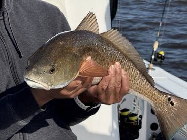 Fishing with Captain Austin