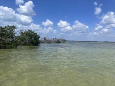 Could not have been better! 