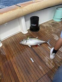 April 1st four hour Trip