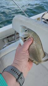 Angler holding a colorful fish, likely a Snapper, while on a boat, showcasing a successful catch.