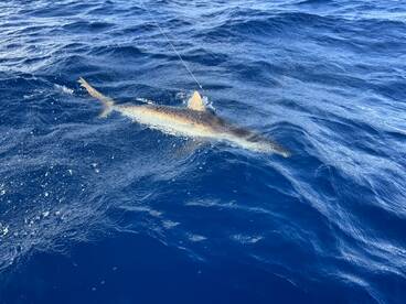 Great time on the water. 