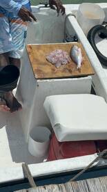 A fisherman preparing freshly caught fish, including a snapper, on a boat's cleaning station.