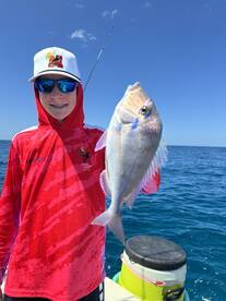 A cornucopia of species